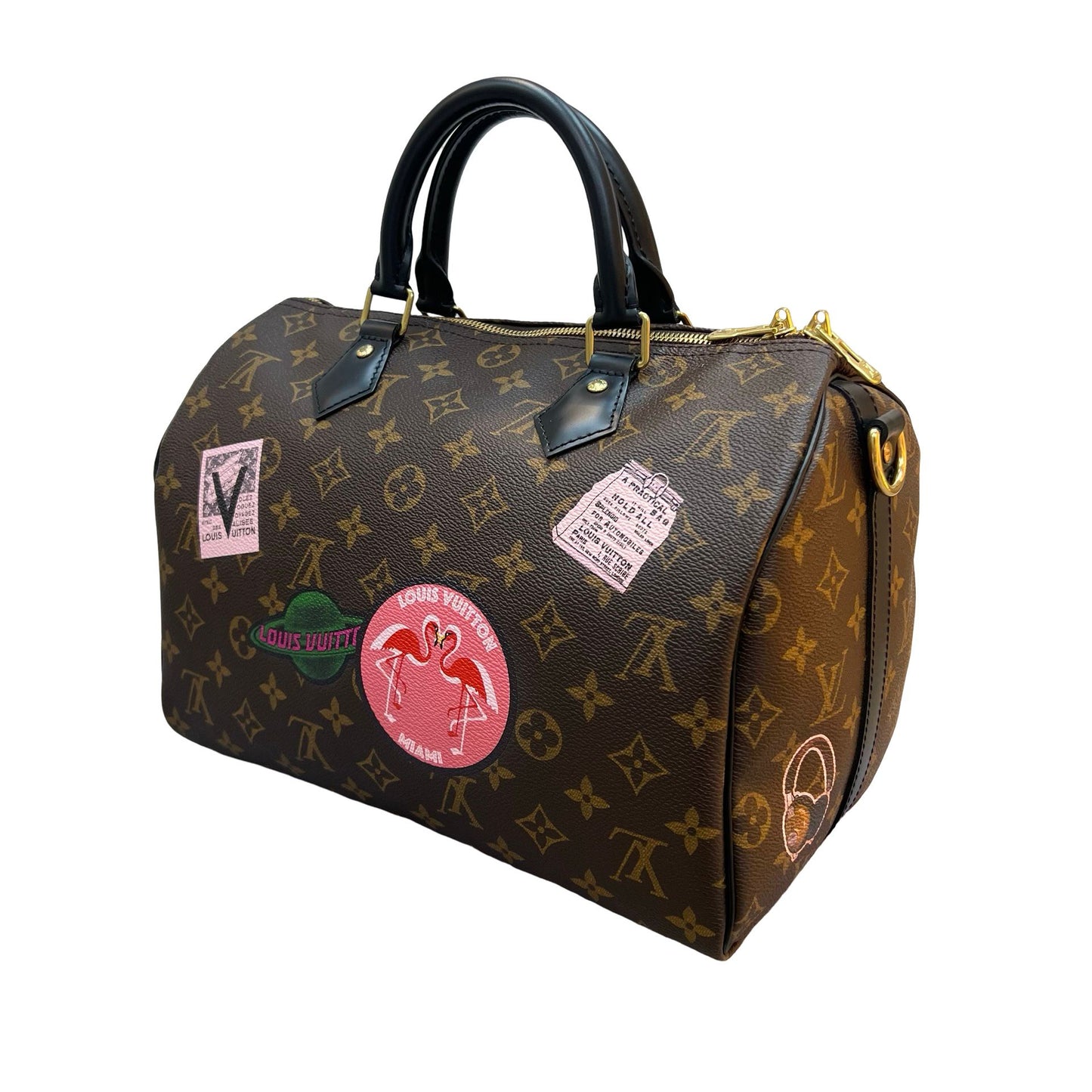 LOUIS VUITTON SPEEDY 30 MY WORLD TOUR