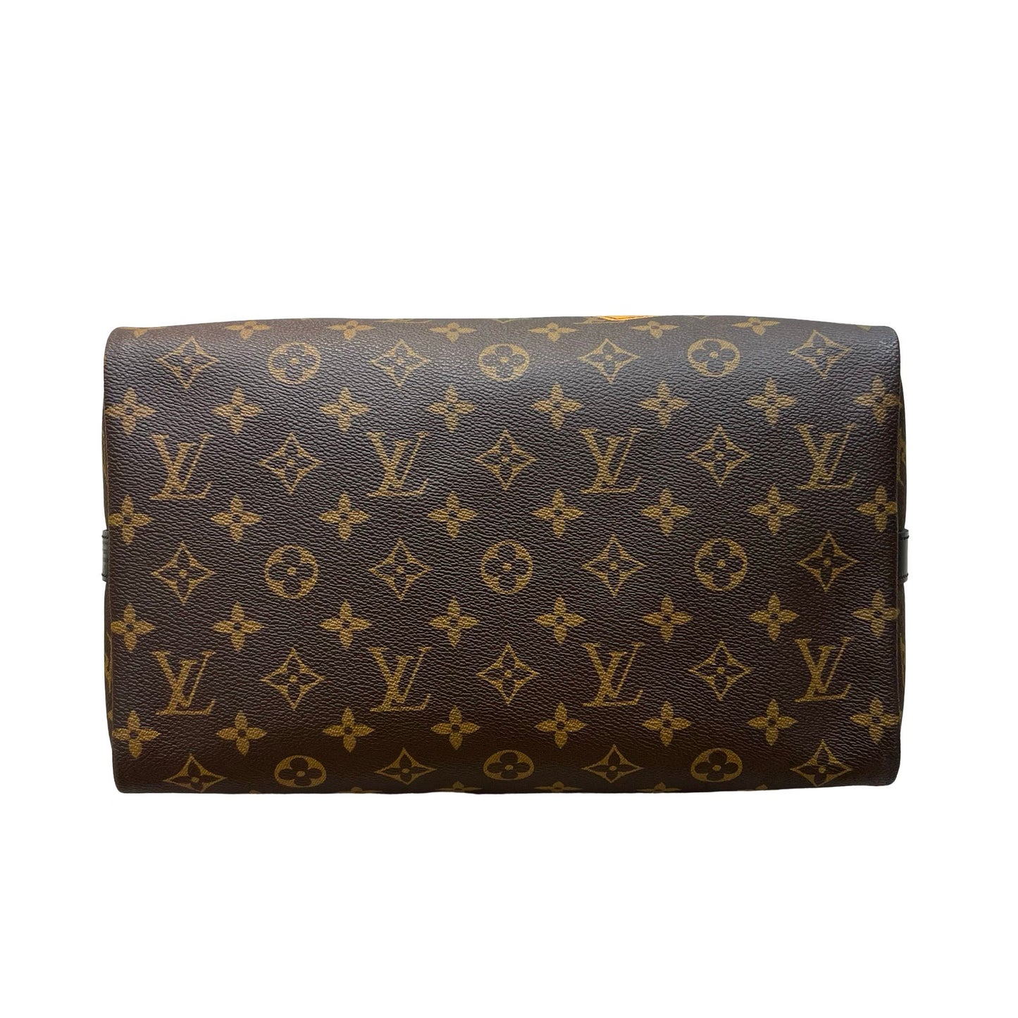 LOUIS VUITTON SPEEDY 30 MY WORLD TOUR