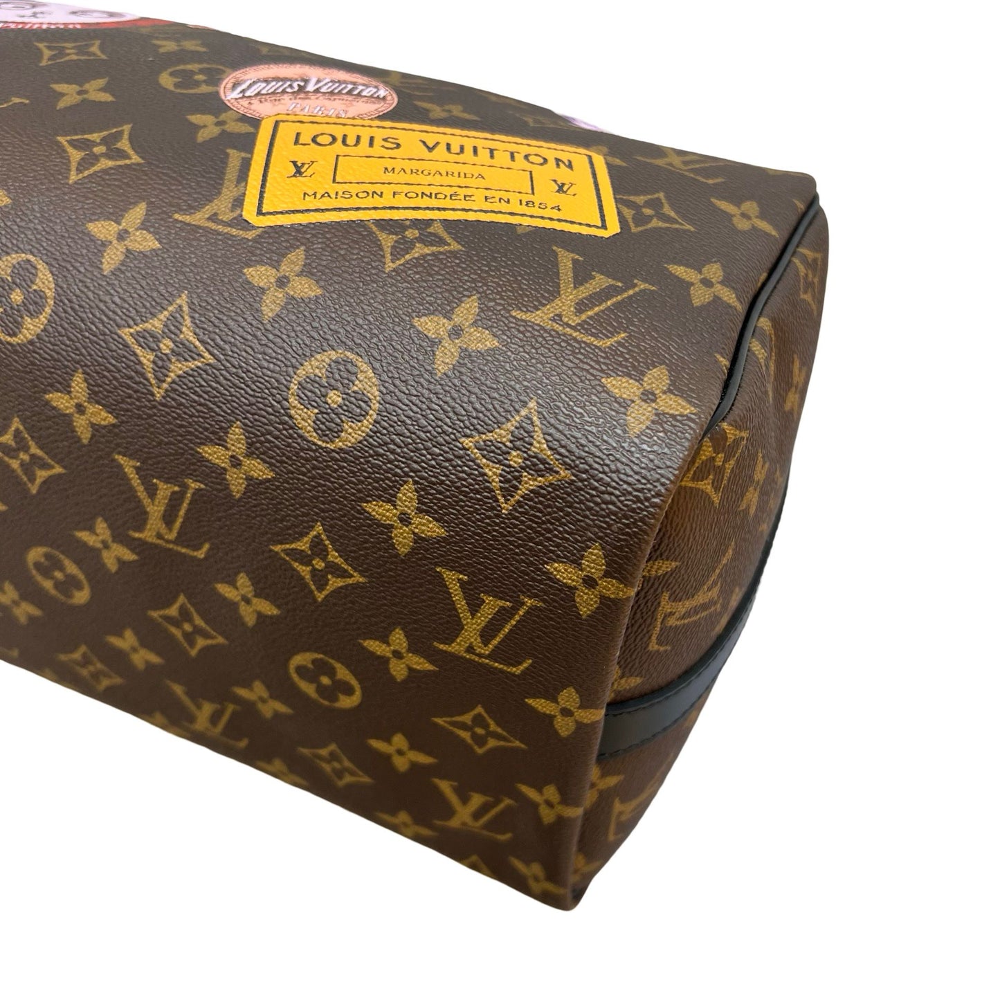 LOUIS VUITTON SPEEDY 30 MY WORLD TOUR