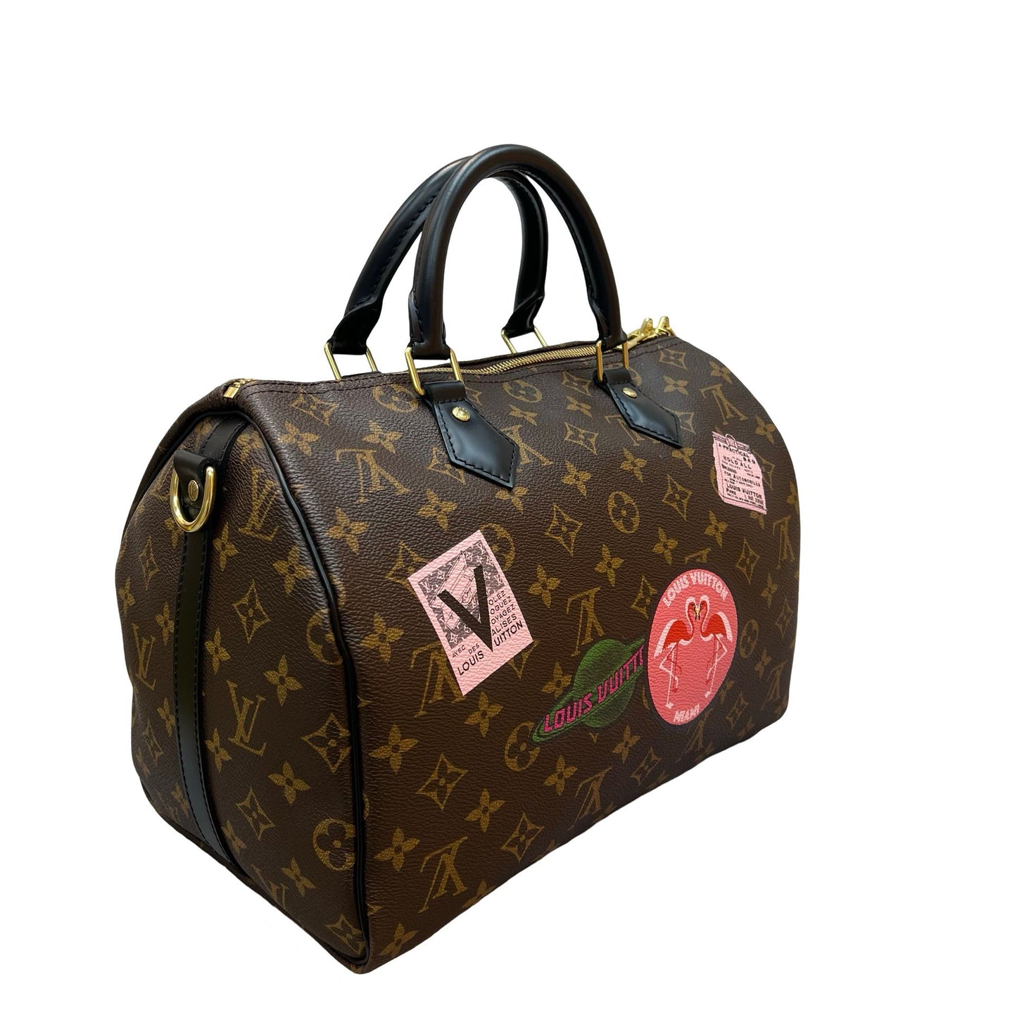 LOUIS VUITTON SPEEDY 30 MY WORLD TOUR