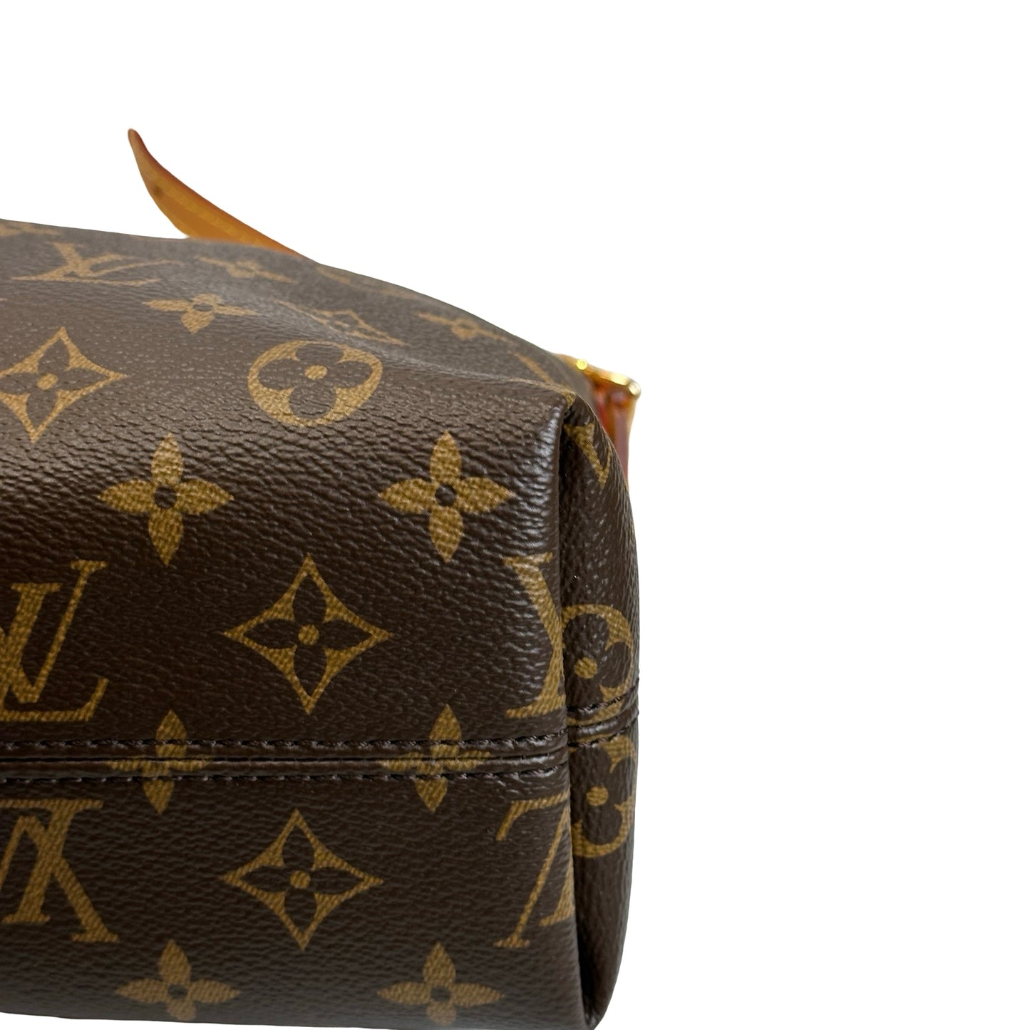Used LOUIS VUITTON Monogram Néonoe Handbag Brown
