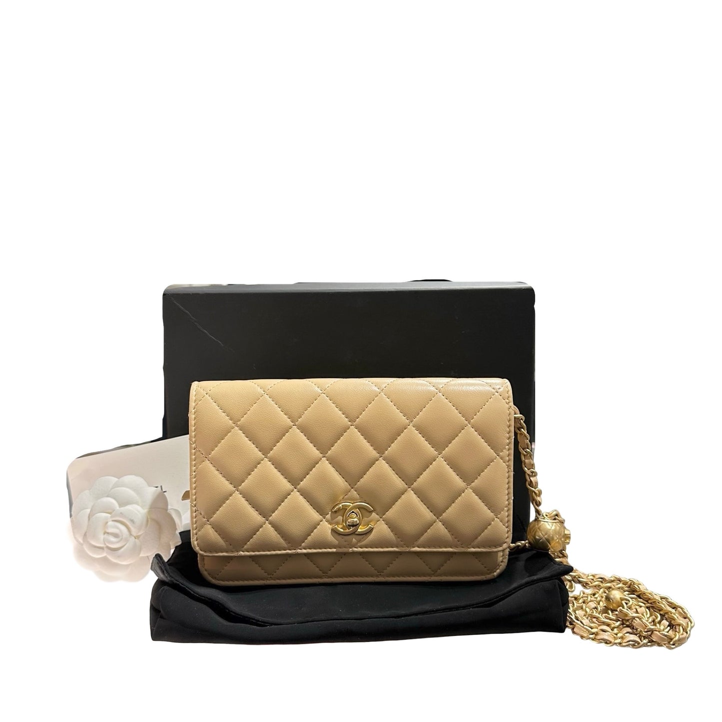 CHANEL WOC [3000269]