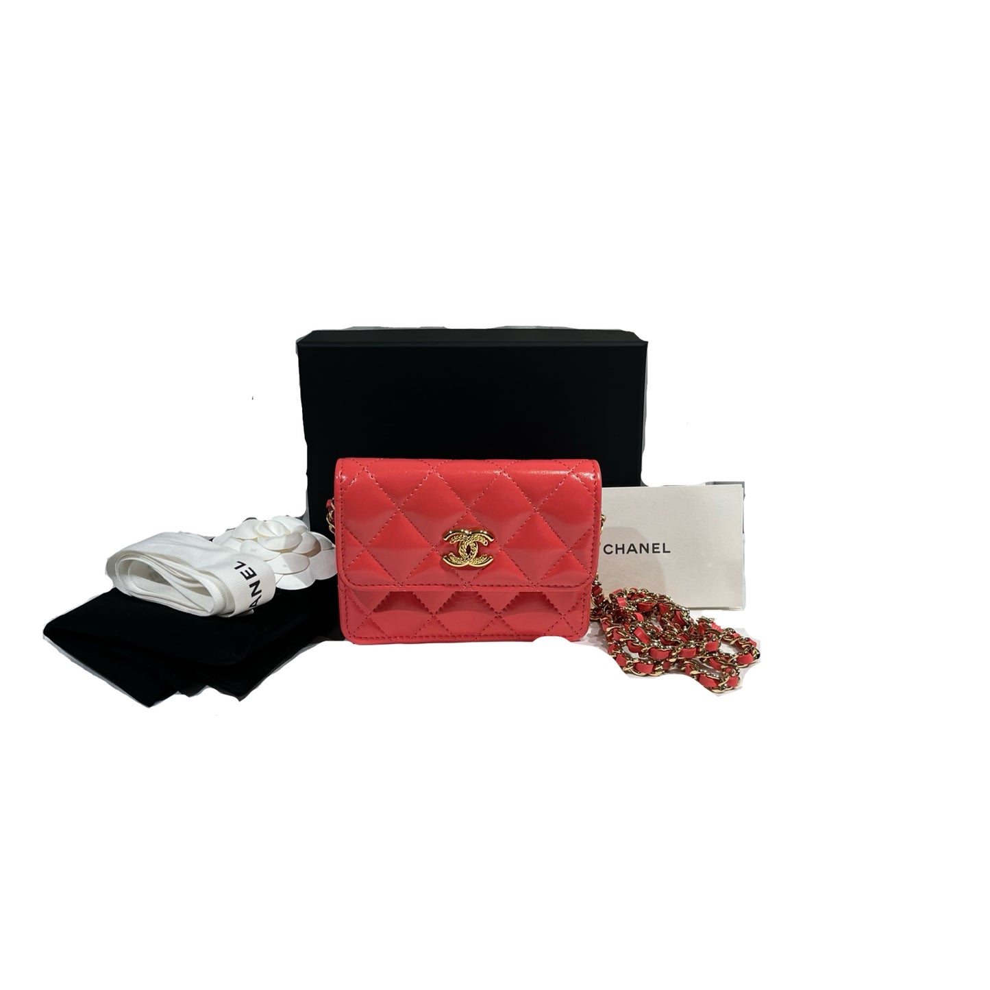 CHANEL MINI FLAP BAG PINK [3001173]