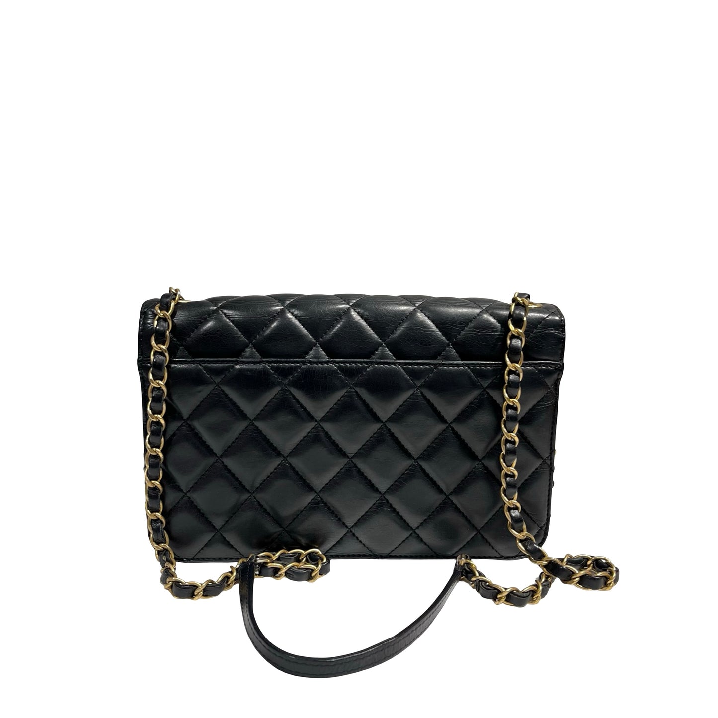 CHANEL FLAP BAG [3001766]