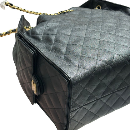 CHANEL 25 HOBO MEDIUM [3000266]