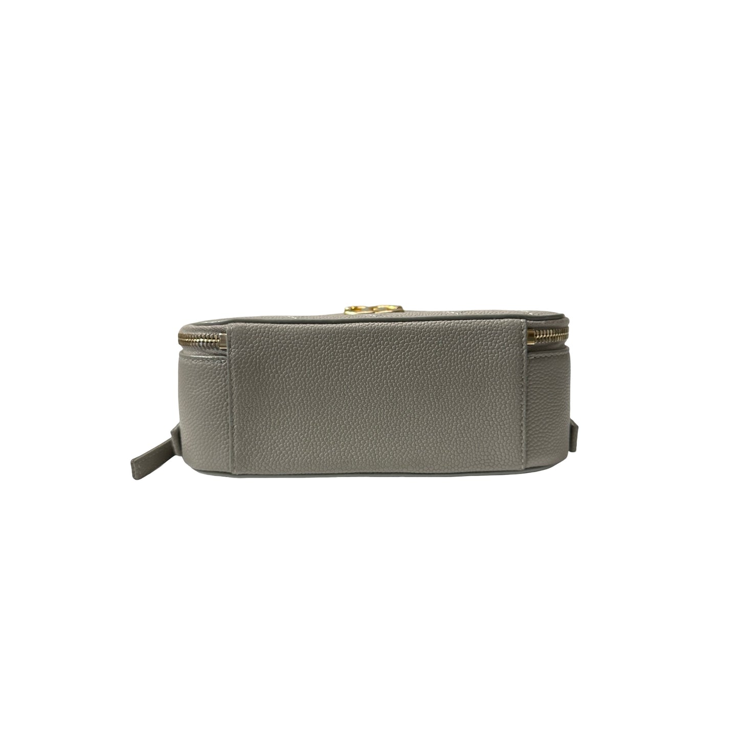 Used CHANEL Calfskin Leather Camera Shoulder Bag GHW Grey