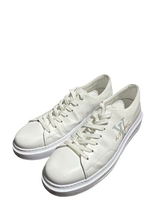 LV SHOES [110090]