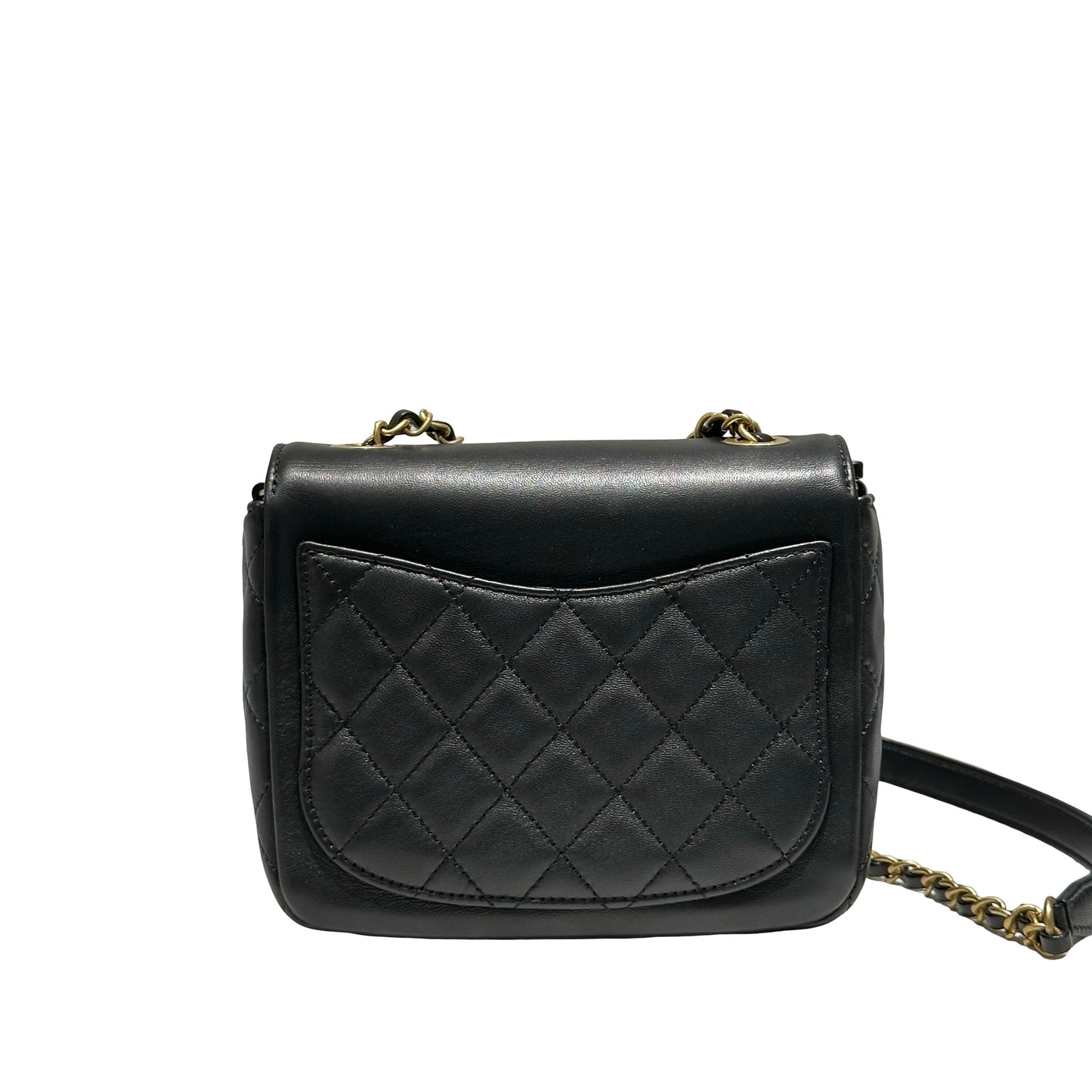 CHANEL FLAG BAG [20000118]