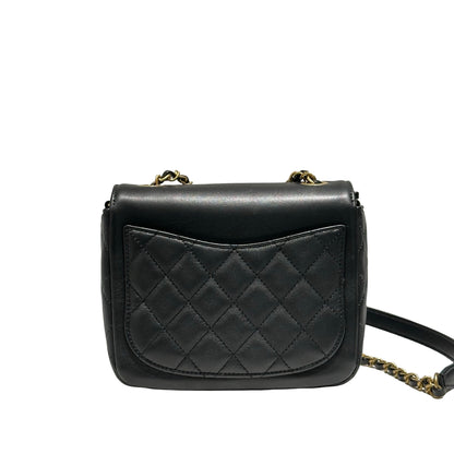 CHANEL FLAG BAG [20000118]