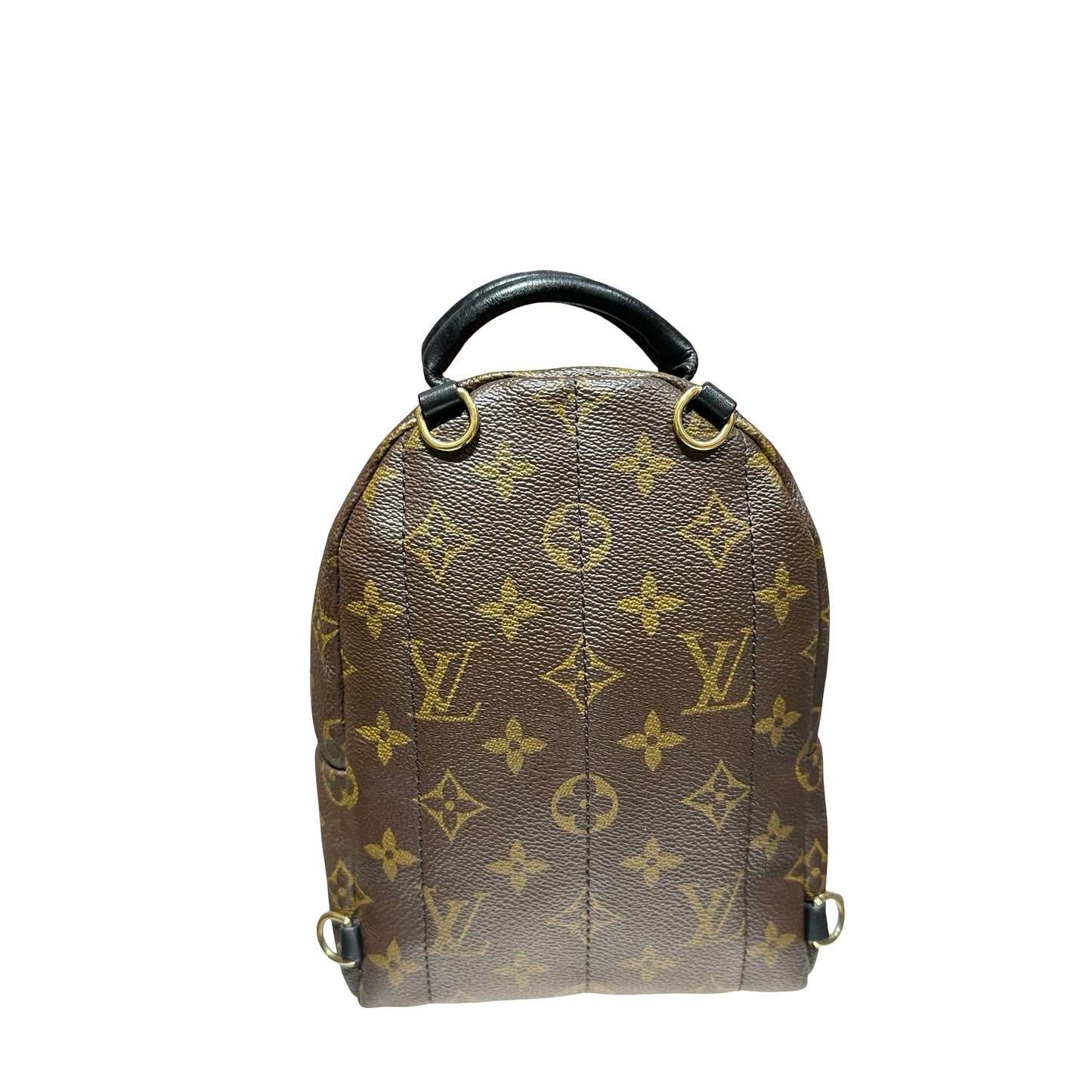 LV PALM SPRINGS MINI [3000594]