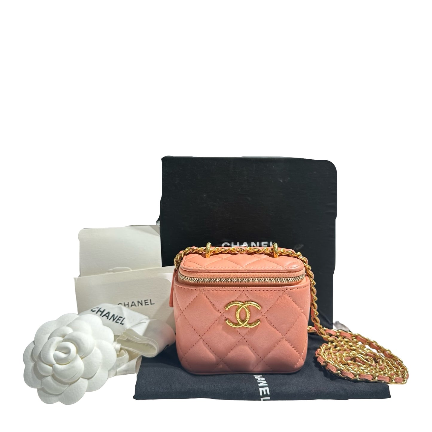 CHANEL VANITY BAG [3000311]