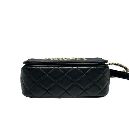 CHANEL FLAG BAG [20000118]