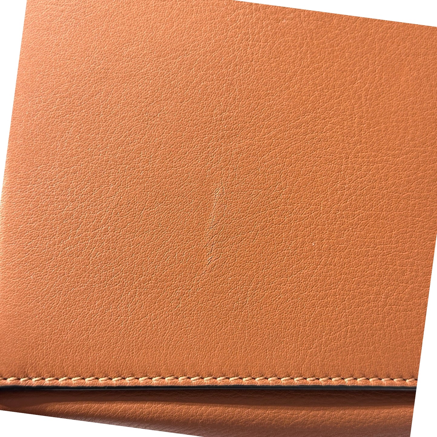 Used LOEWE Calfskin Leather Hammock small Cross Body Bag