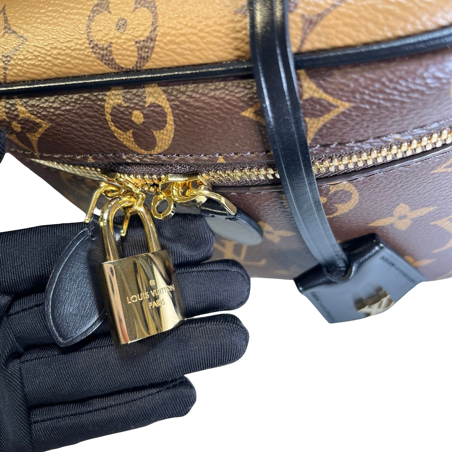 Used LOUIS VUITTON Monogram Reverse Monogram Canvas Vanity PM Monogram/Reverse Monogram Vanity case Brown Light Brown GHW