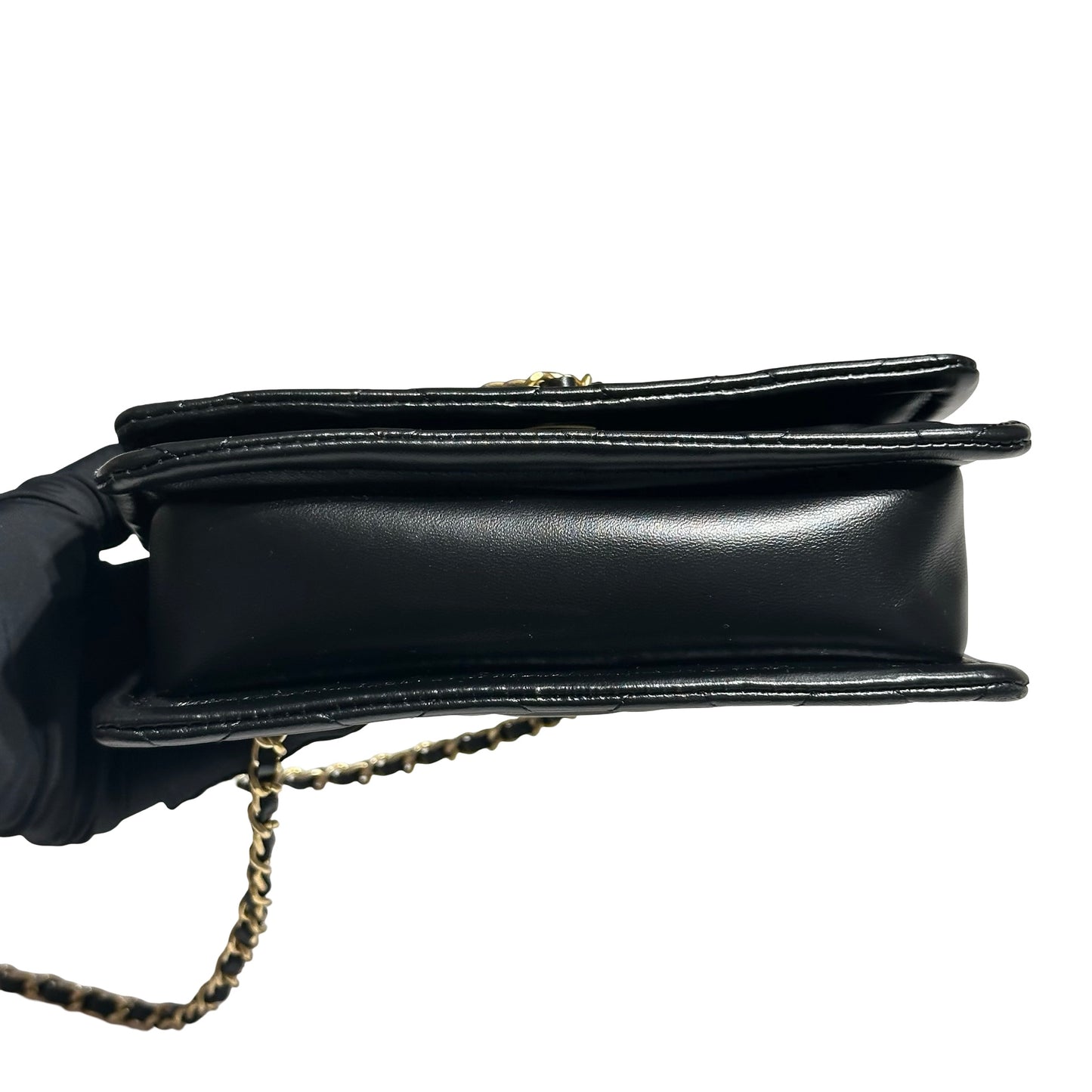CHANEL WALLET ON CHAIN [3000053]