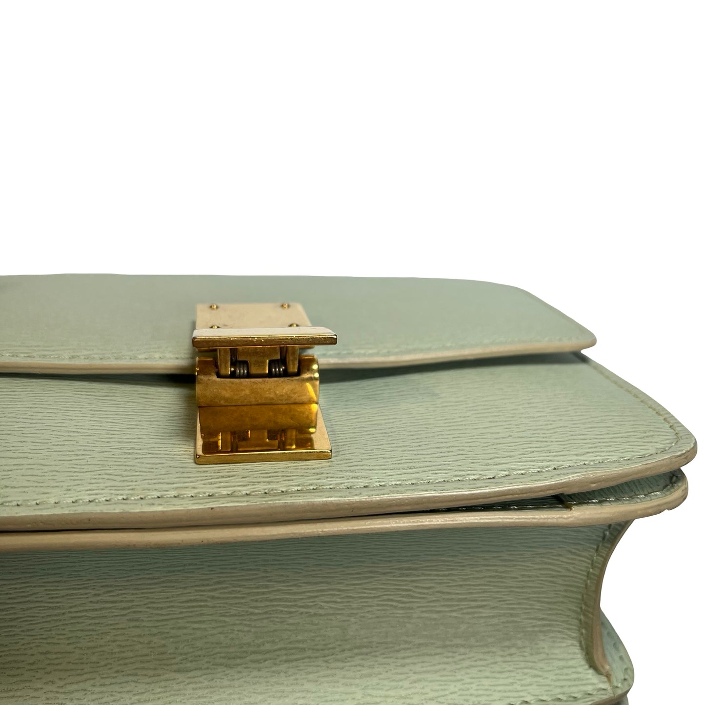 CELINE Epi Leather Classic Box Shoulder Bag Light Green GHW