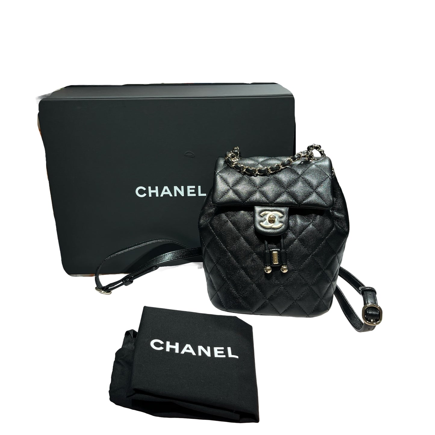 CHANEL BACKPACK [3001175]