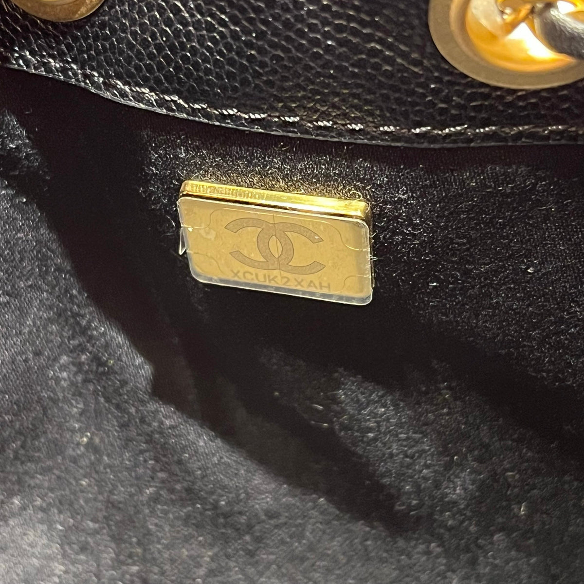 CHANEL 25 MINI BAG [3001717]