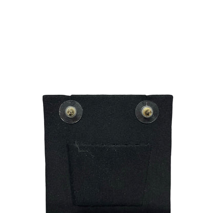 CHANEL EARRINGS [3001158]