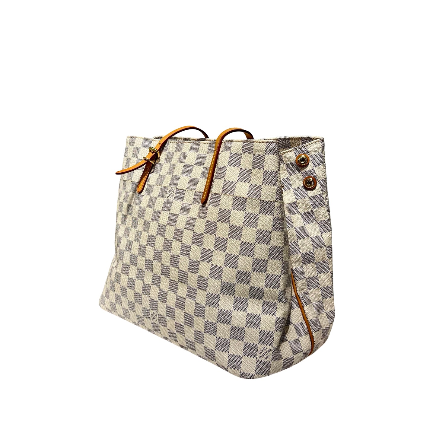 Damier Calfskin CABAS MM Tote Bag [101247]