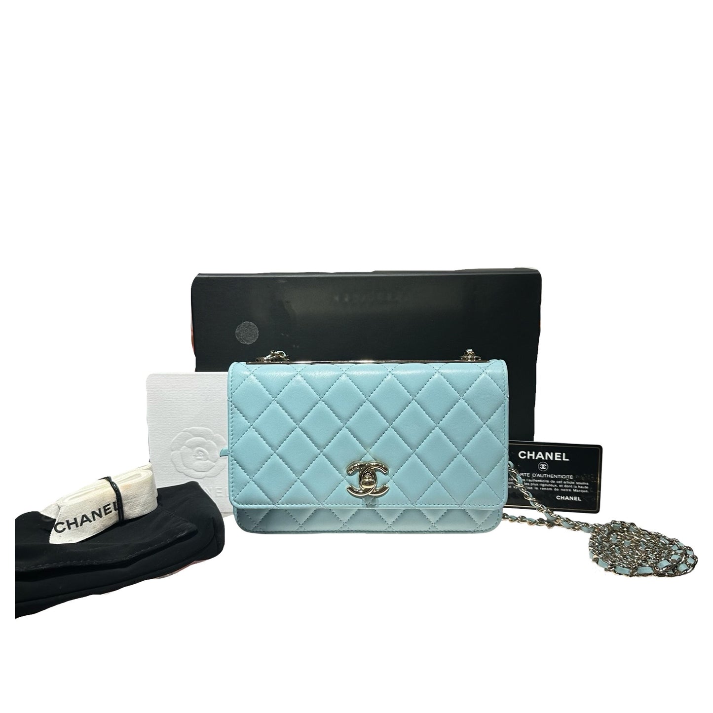 CHANEL BLUE WOC [3000772]