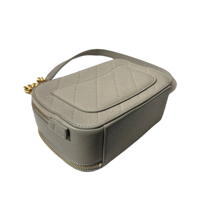 Used CHANEL Calfskin Leather Camera Shoulder Bag GHW Grey