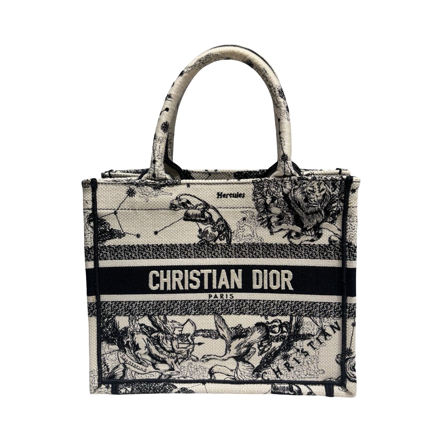 DIOR BOOK TOTE SMALL [20000301]