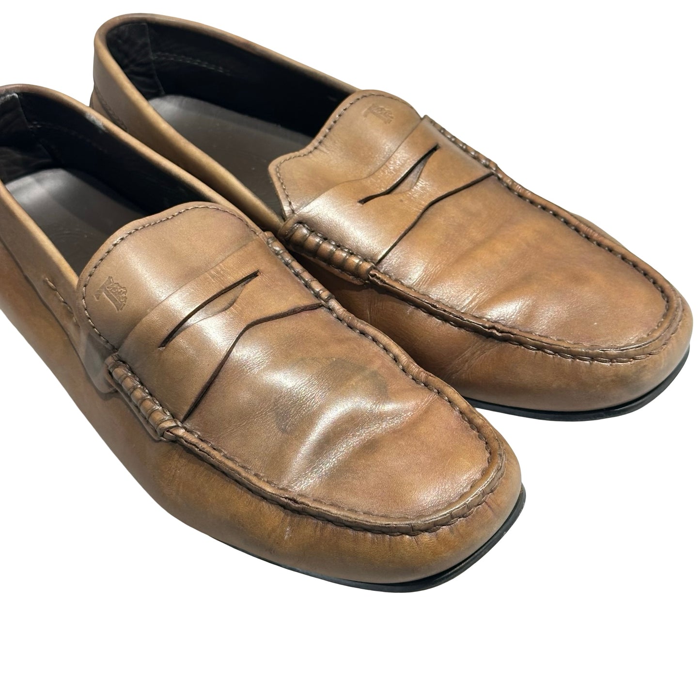 TOD'S SHORES [20000215]