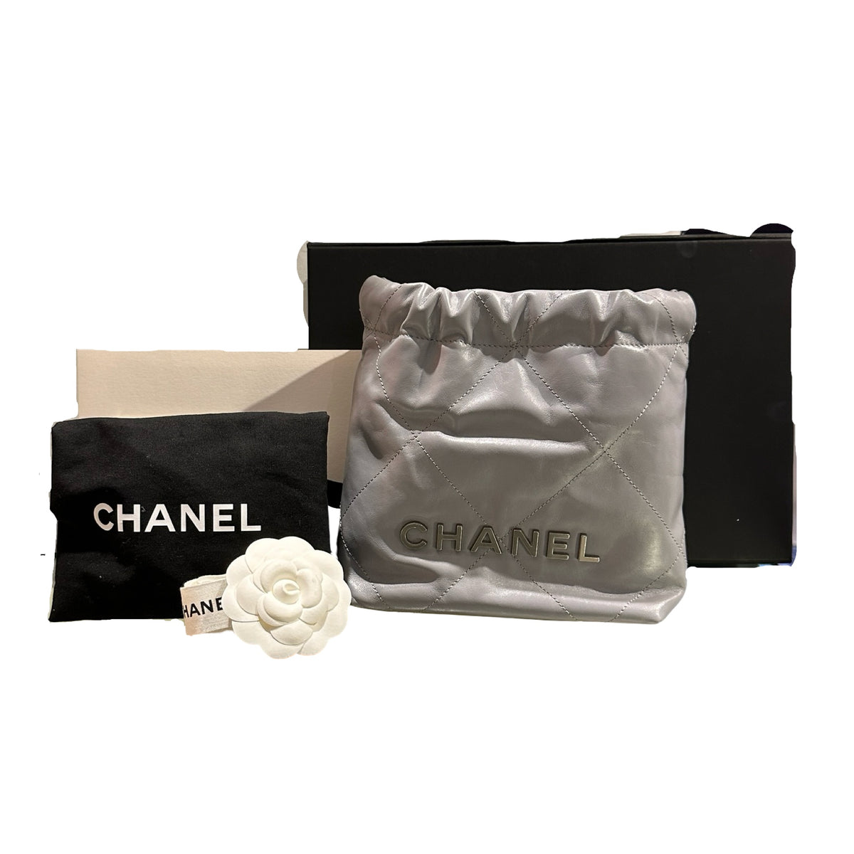 Used CHANEL Quilted Calfskin Chanel 22 Mini Handbag Light Blue Silver