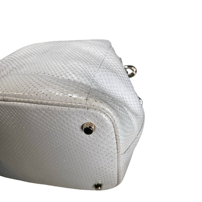 Used CHRISTIAN DIOR Python Bucket Bag Bucket Bag White GHW