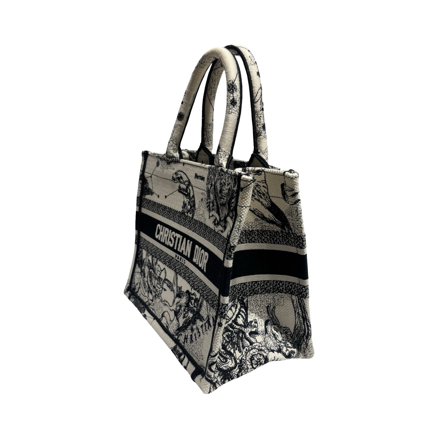 DIOR BOOK TOTE SMALL [20000301]