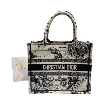 DIOR BOOK TOTE SMALL [20000301]