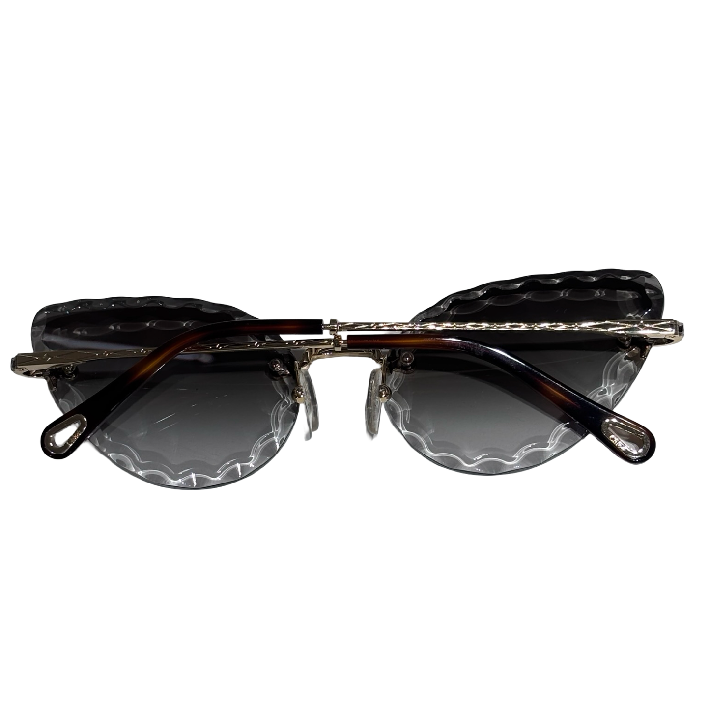 CHLOE SUNGLASSES [3000521]