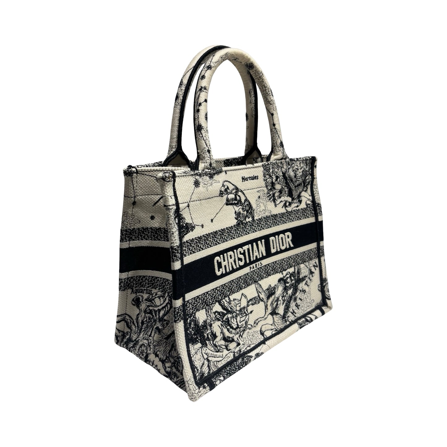 DIOR BOOK TOTE SMALL [20000301]