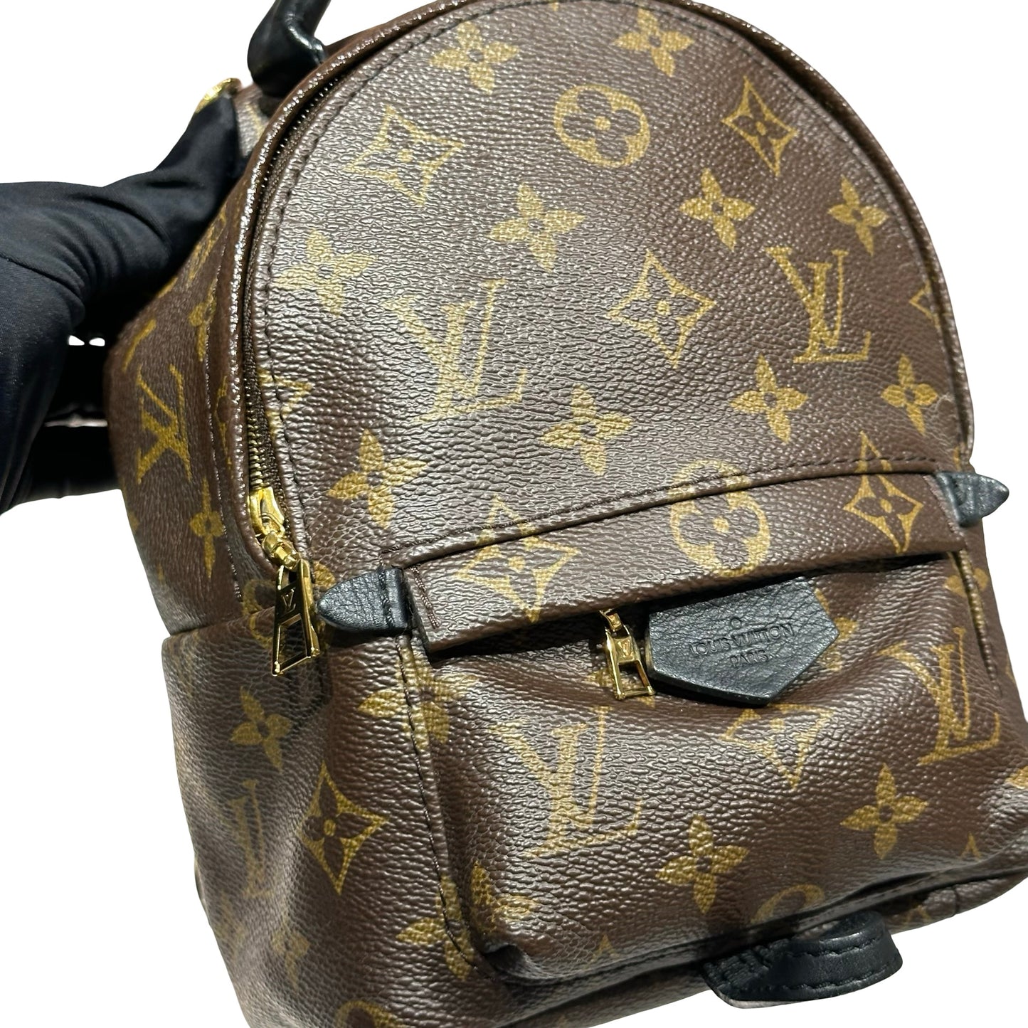 LV PALM SPRINGS MINI [3000594]