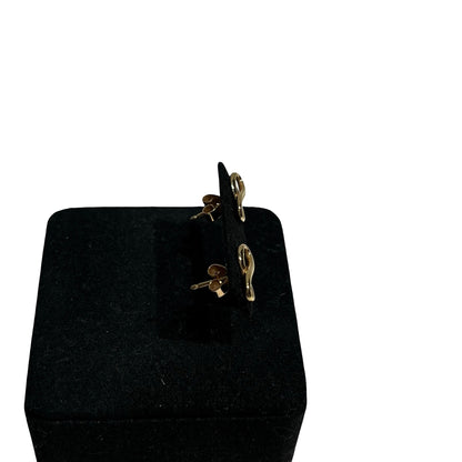 TIFFANY & CO EARRINGS [3001256]