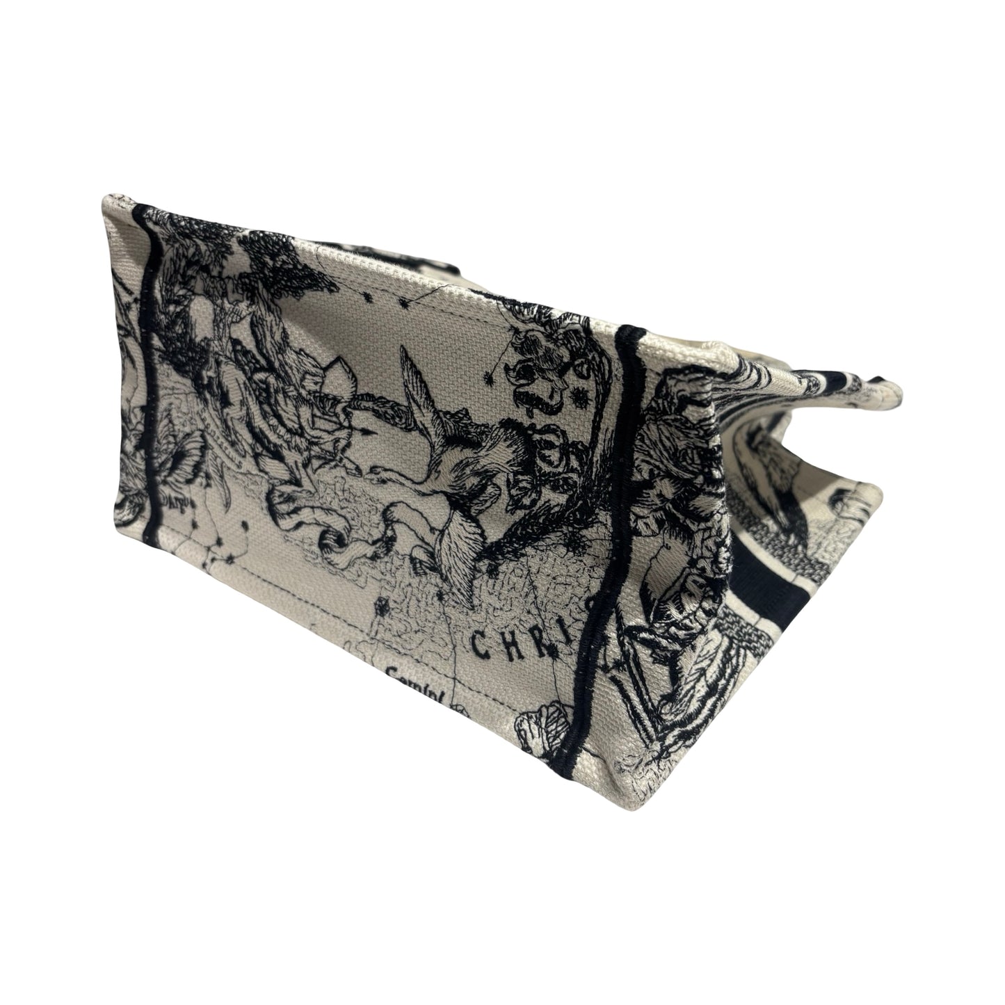 DIOR BOOK TOTE SMALL [20000301]