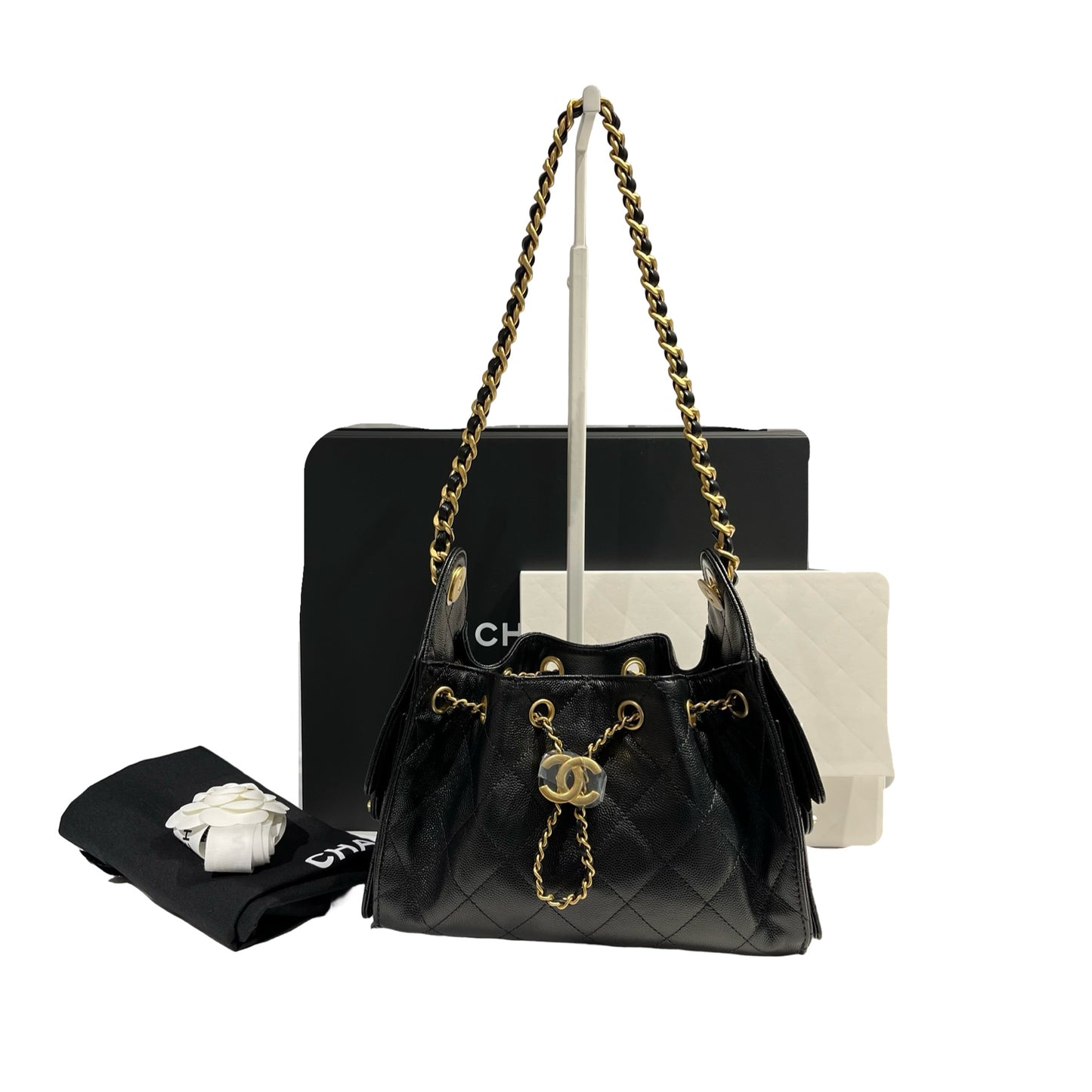 CHANEL MINI 25 BAG [3001178]