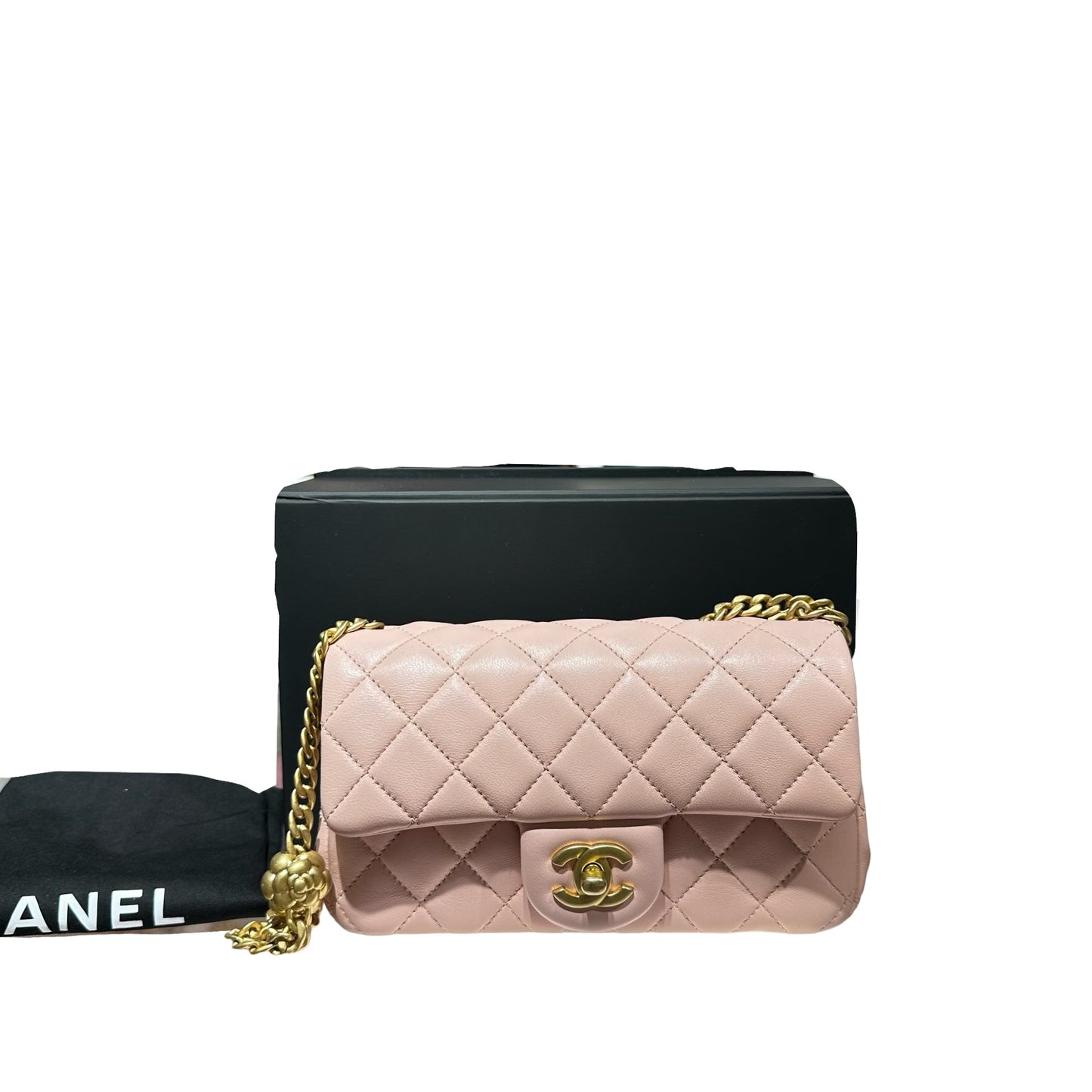 CHANEL MINI FLAP 20 CM [3001120]