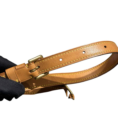 LV MUSETTE TANGO CROSSBODY BAG MONOGRAM GHW [3001022]