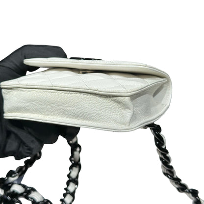 CHANEL BELT BAG [3000801]