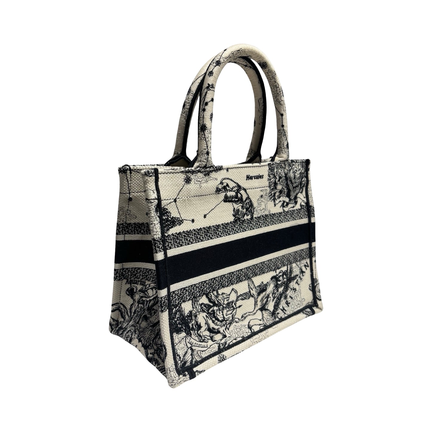 DIOR BOOK TOTE SMALL [20000301]