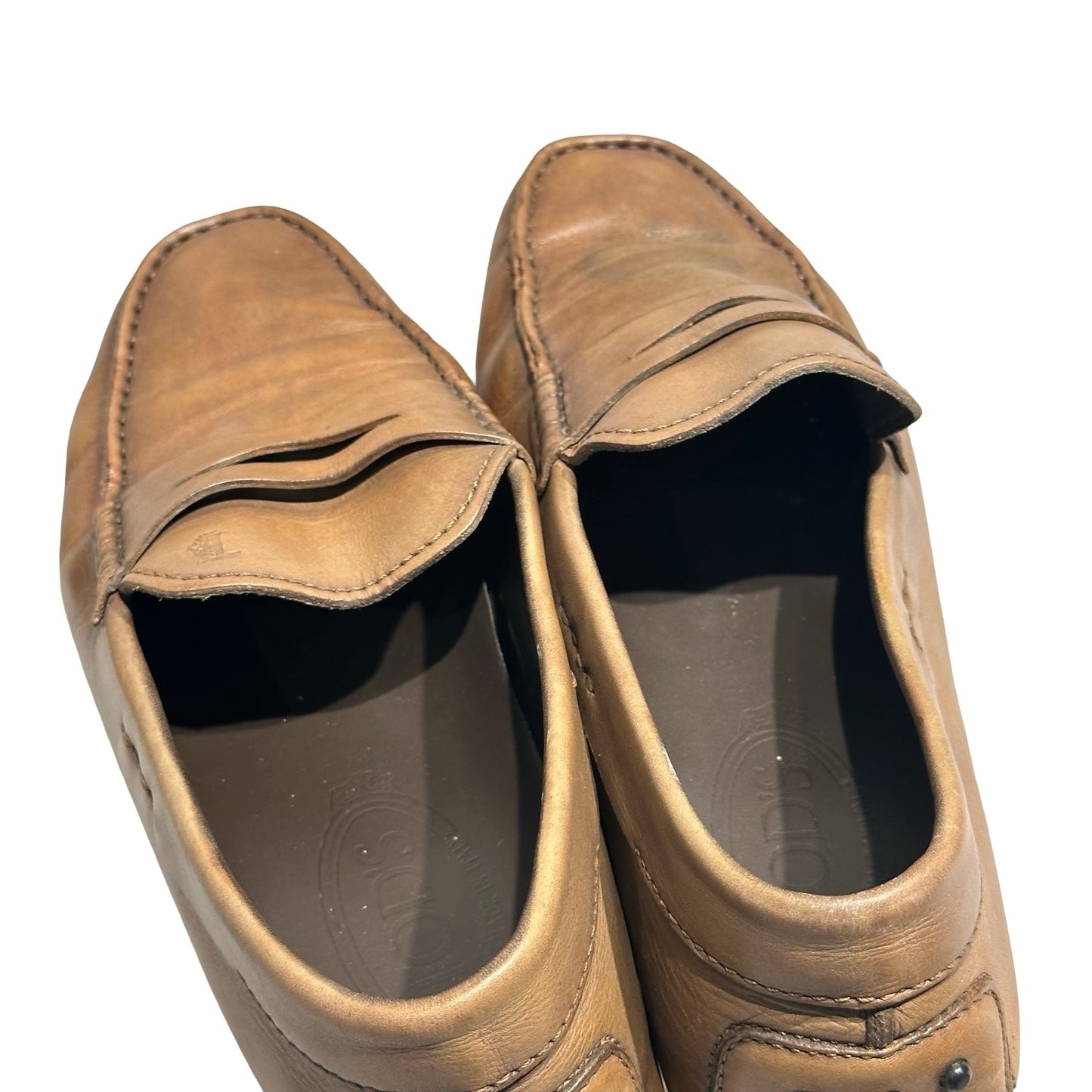 TOD'S SHORES [20000215]