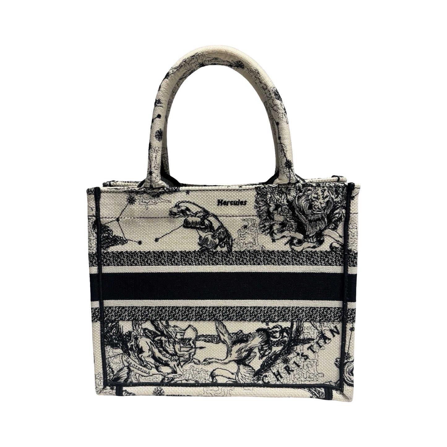 DIOR BOOK TOTE SMALL [20000301]