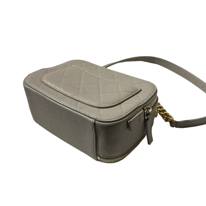 Used CHANEL Calfskin Leather Camera Shoulder Bag GHW Grey