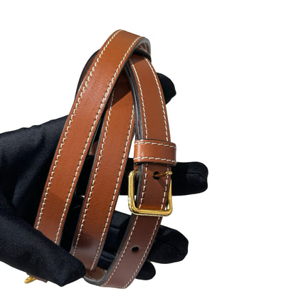Used CÉLINE TRIOMPHE Canvas Small Boston Cross Body Bag Brown GHW