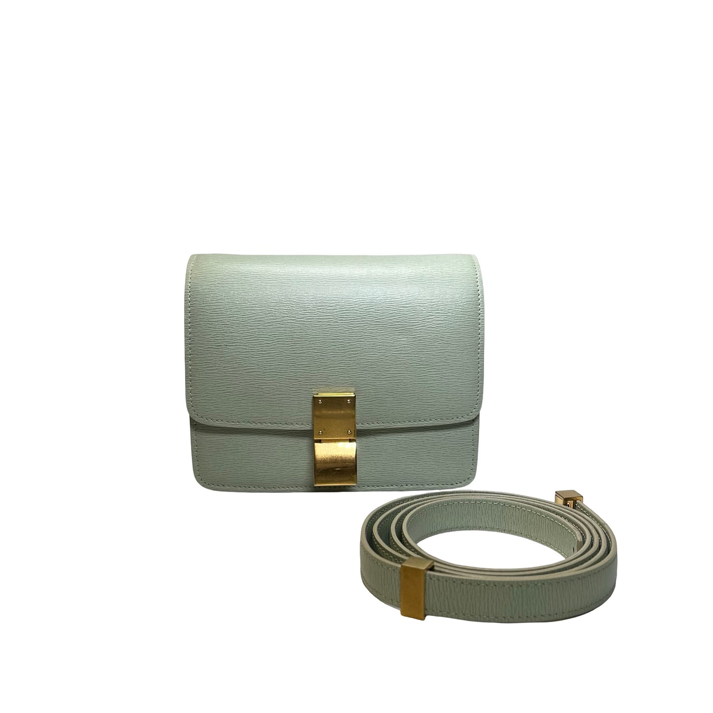 CELINE Epi Leather Classic Box Shoulder Bag Light Green GHW