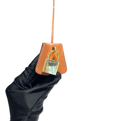 Used CELINE Handbag Brown GHW