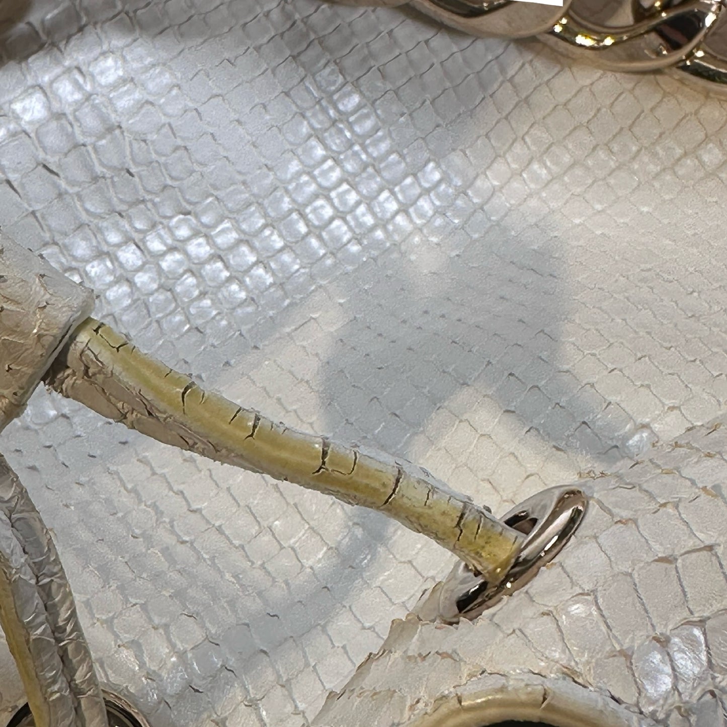 Used CHRISTIAN DIOR Python Bucket Bag Bucket Bag White GHW