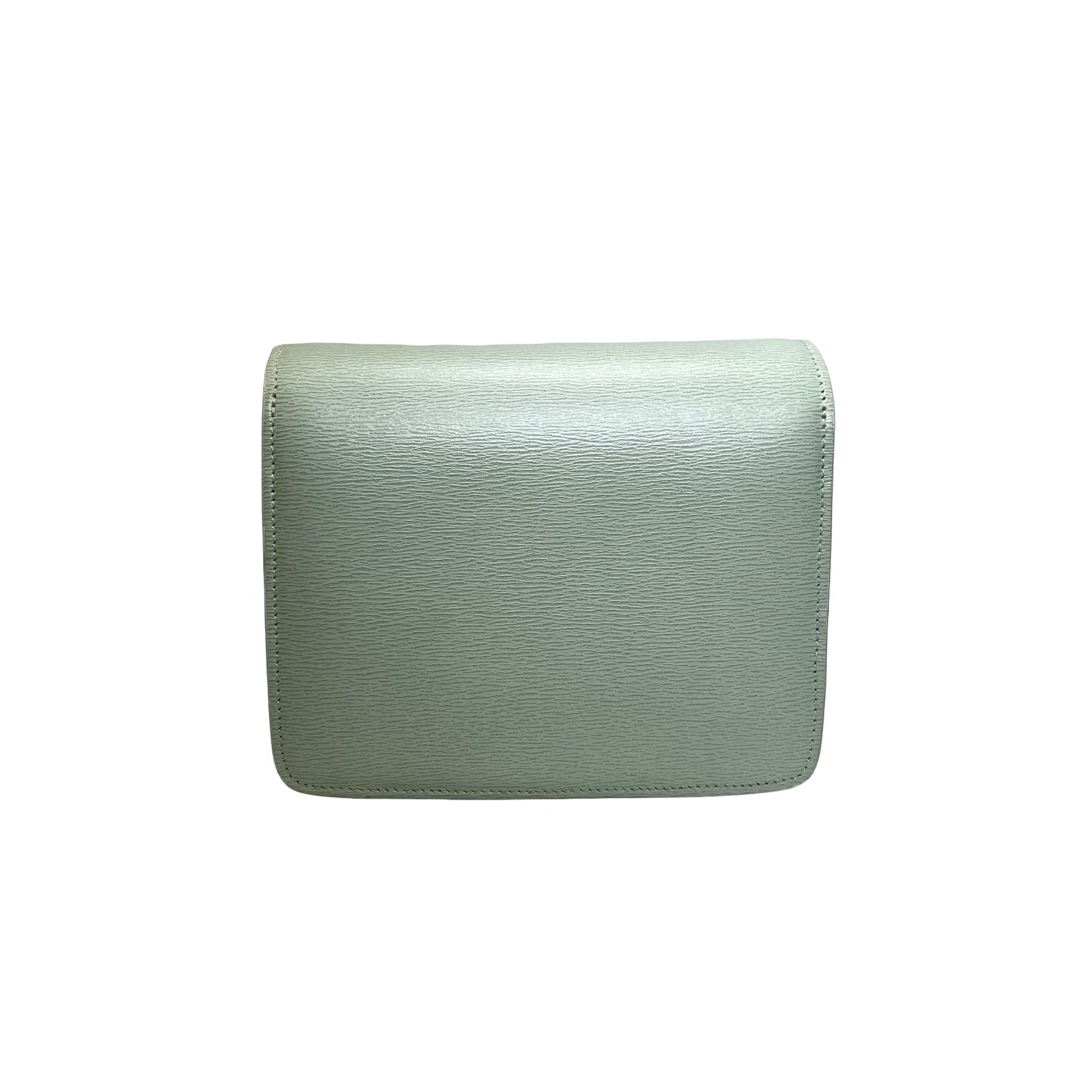 CELINE Epi Leather Classic Box Shoulder Bag Light Green GHW